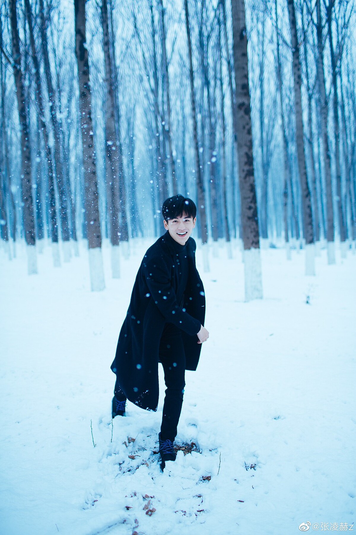 Photo／張凌赫微博