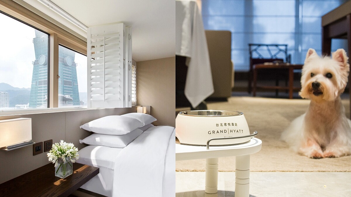 台北旅遊住宿首選！君悅酒店3大網美套房伴101入夢鄉、看夜景泡澡，還能帶毛小孩一起入住
