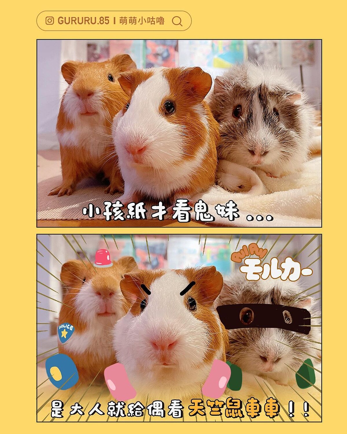 IG@gururu.85萌萌小咕嚕