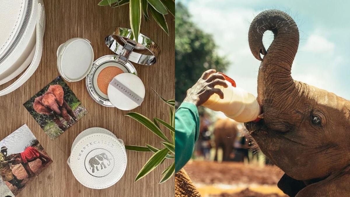 圖片取材IG@j_edition_