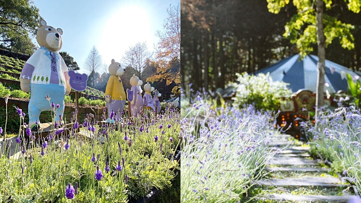 「2021薰衣草節」夢幻綻放中！三千顆紫色薰衣草配萌熊成最療癒秘境，4大體驗感受自然純粹之美