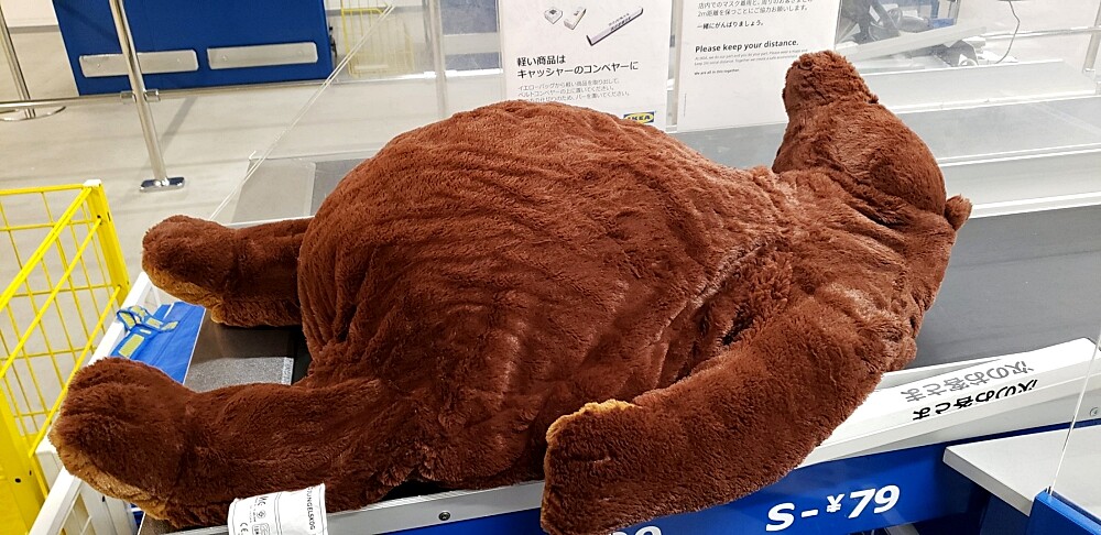 Photo/Twitter@REINIUM3