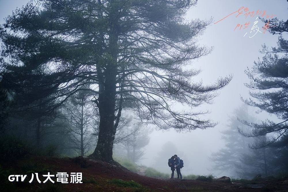 她們創業的那些鳥事