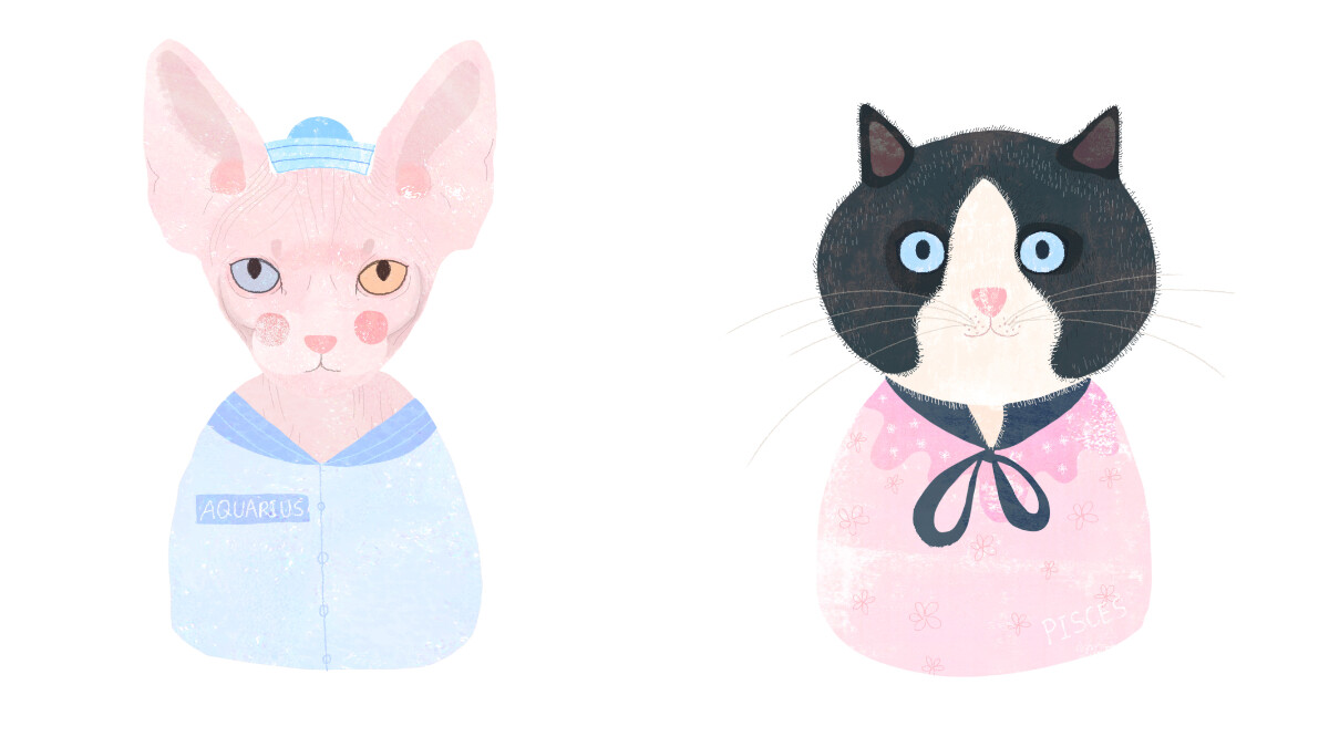 《美麗佳人》2月星座運勢：「2021首次水逆來臨，水瓶座成影響最低幸運戶」