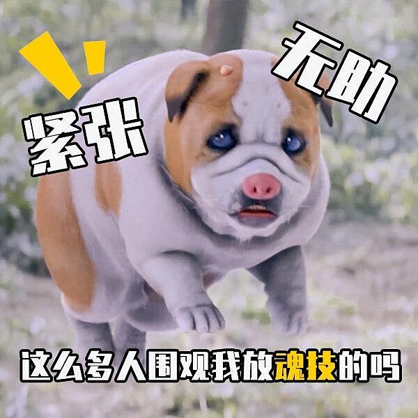 Photo／斗羅大陸微博