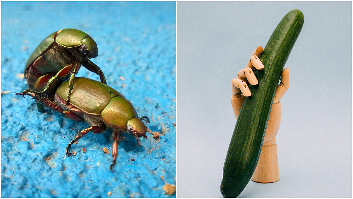 為什麼有了我男友還要看A片?難道是我沒有魅力?