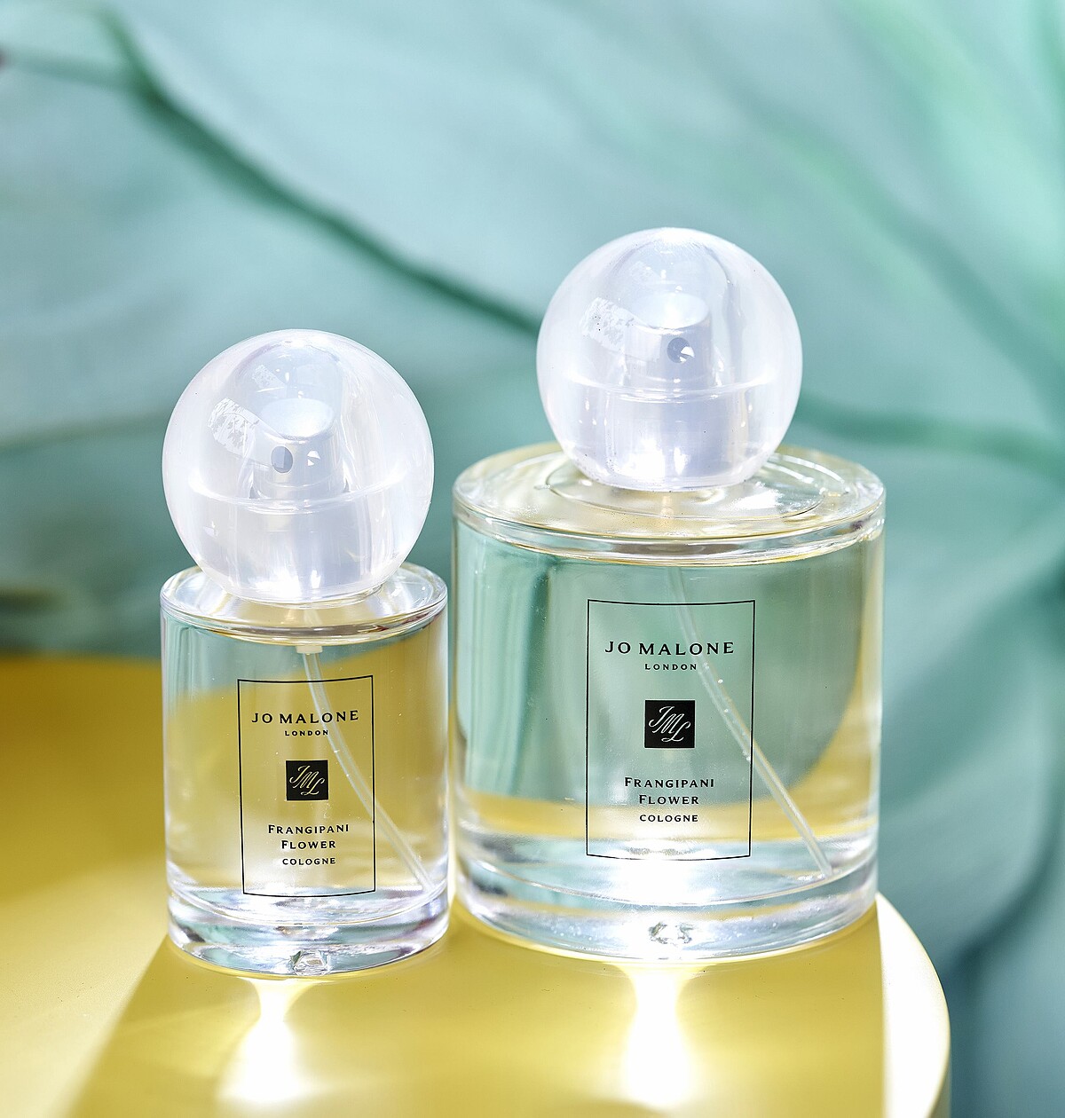 Jo Malone London雞蛋花香水，30ml NT2,700，100ml，NT5,400。