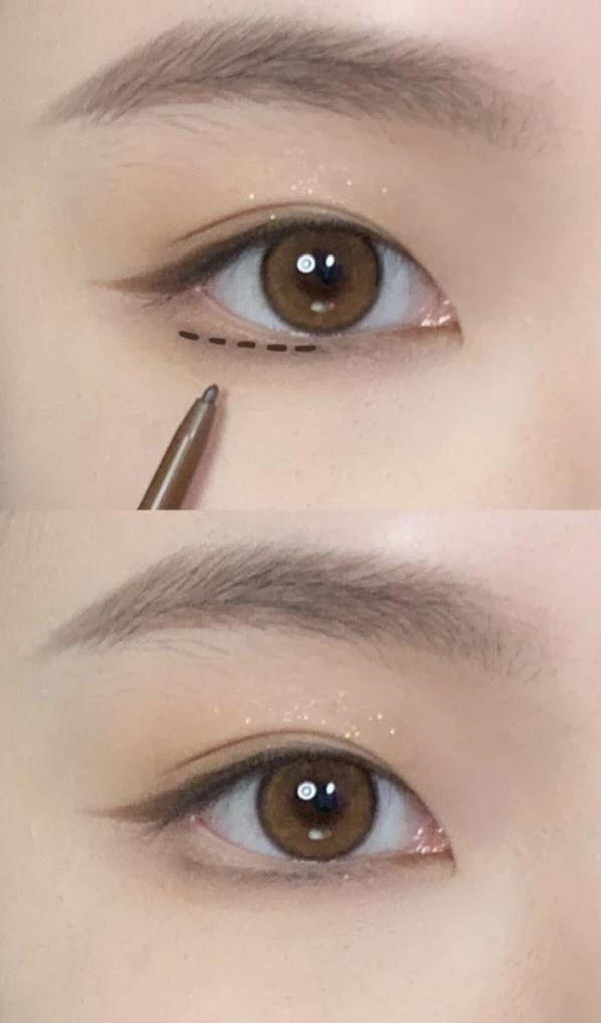 圖片來源：小紅書@猫抖抖