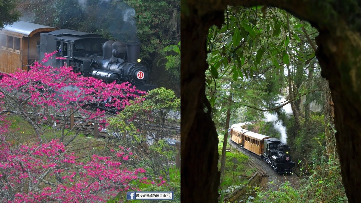 「漫步在雲端的阿里山授權」臉書粉絲團授權