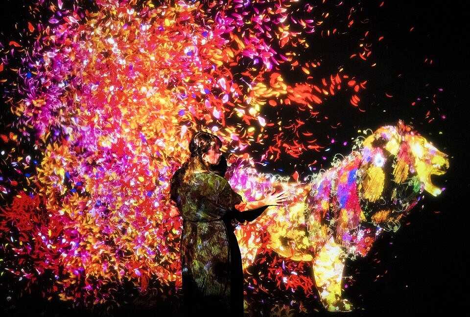 Photo / futurepark.teamlab.art