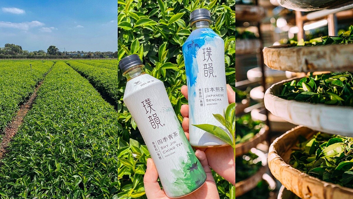 一起喝茶！直擊最美文青茶「璞韻」南投茶廠，深究四季春茶葉秘密與精品級製茶的6大工法