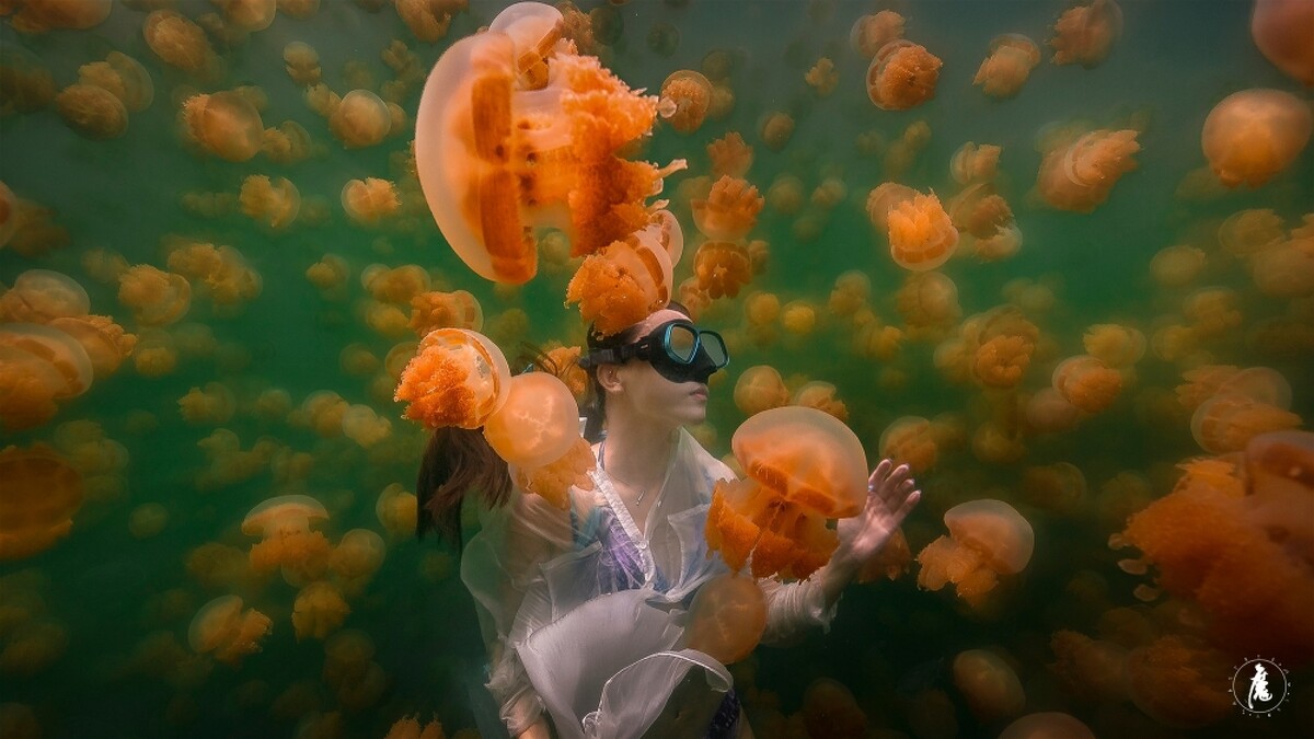 水母湖