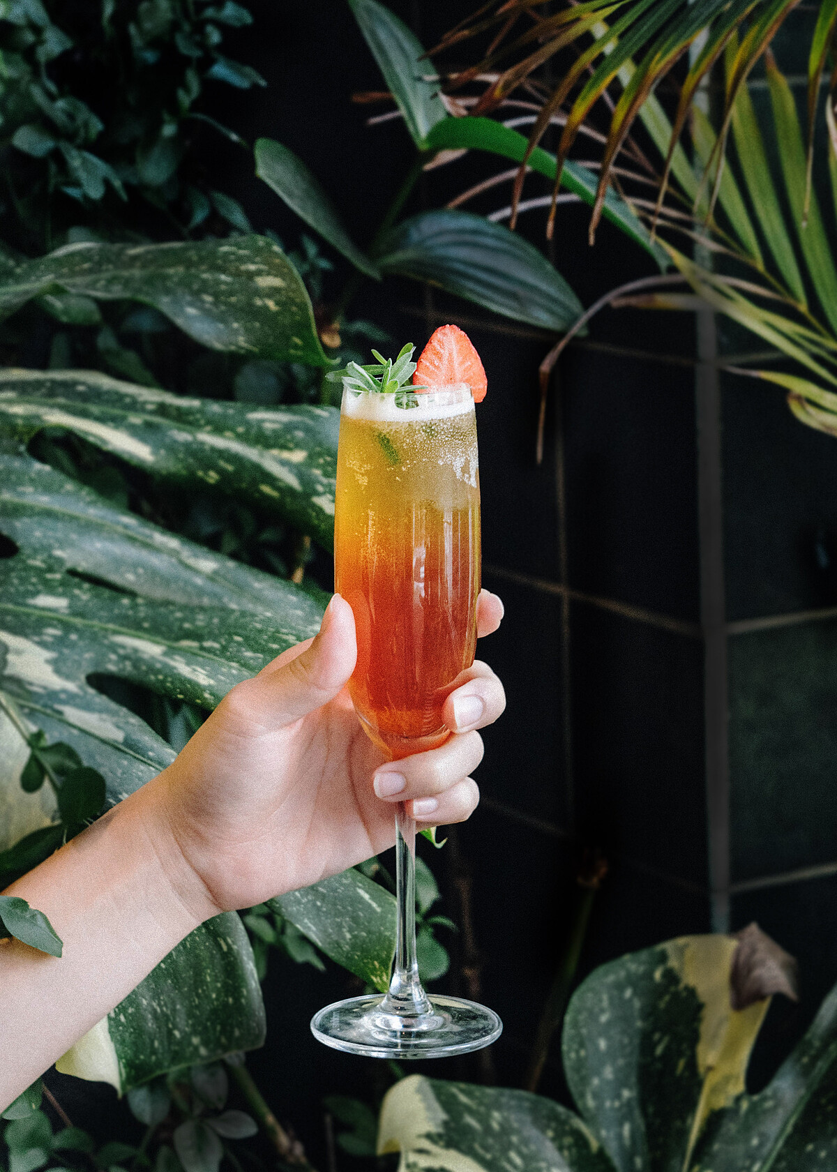 禁止酒駕，未滿18歲請勿飲酒