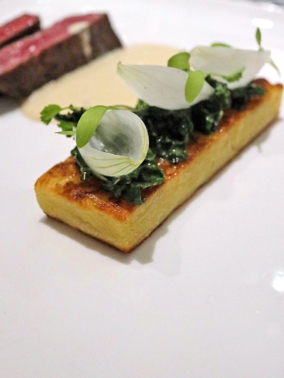 熱前菜：北歐酸奶牛肉麵疙瘩佐辣根酸奶，內容是翼板牛搭上洋芋麵疙瘩。