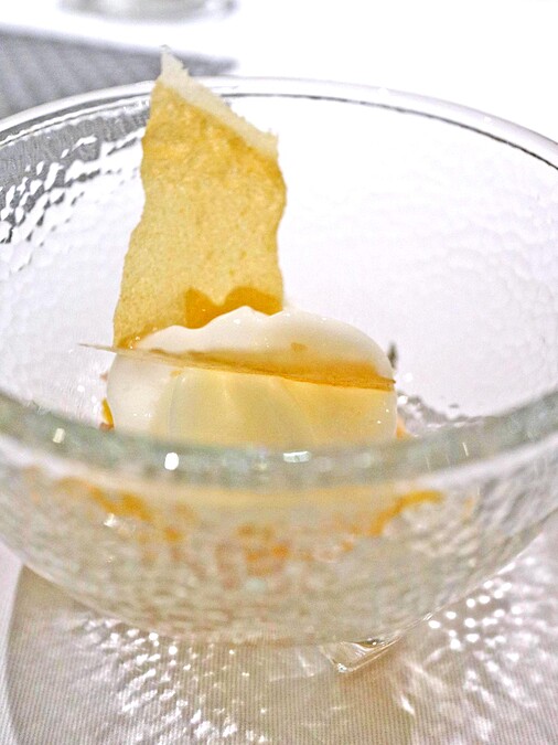 前甜點：柑橘與檸檬，新鮮柑橘、薄荷、柳橙泡沫。