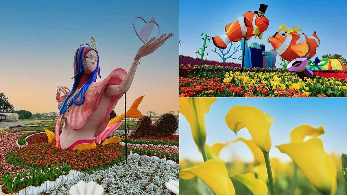 開幕湧十萬人！2021桃園彩色海芋季繽紛來襲，5公尺高「愛神美人魚」、破20萬株花草讓網美拍到手軟