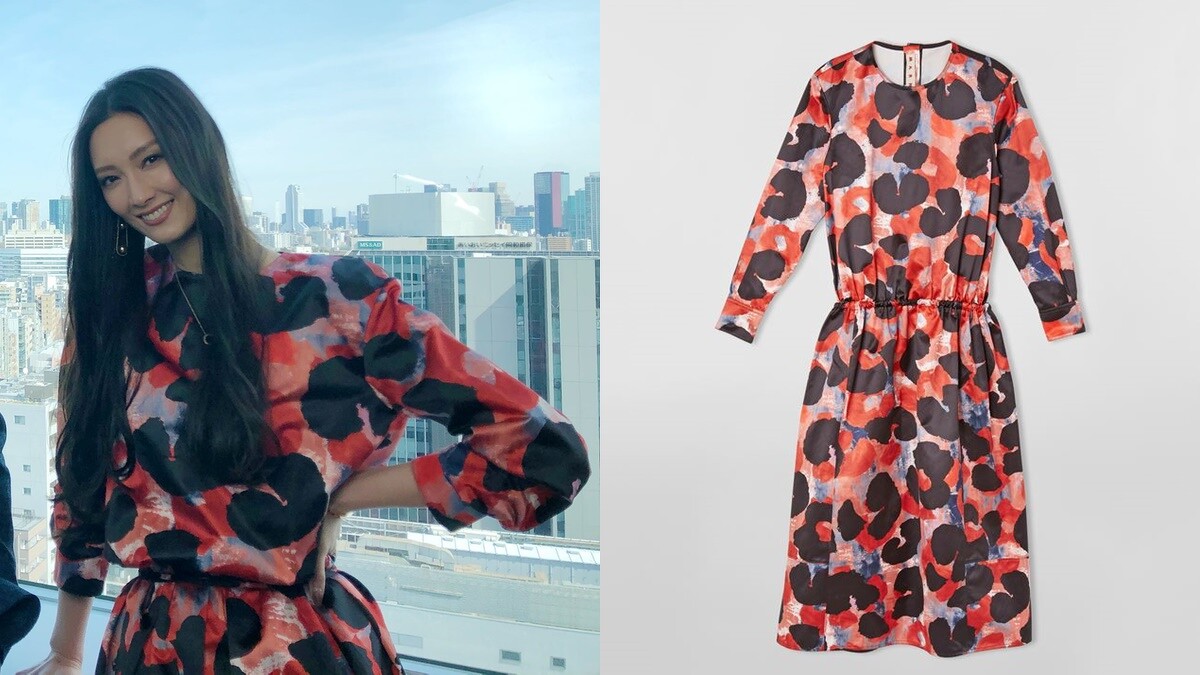 Marni抽象動物印花連衣裙，約NT42,000