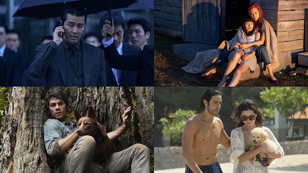 Netflix推薦4月片單！水原希子《彼女》挑戰女同志，「移動迷宮」男主角末日冒險新片《愛與怪物》上架