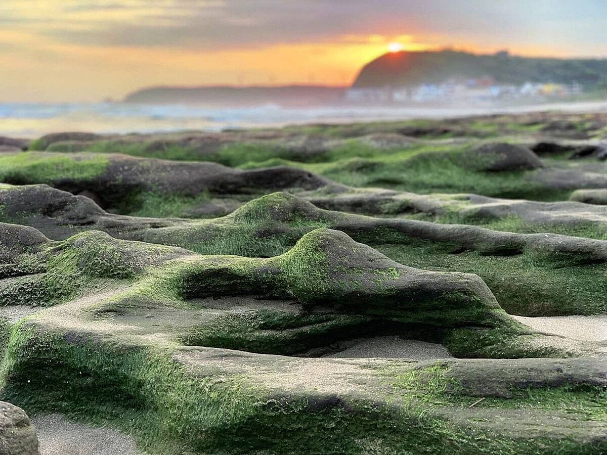 Photo／IG@alikes722020授權提供