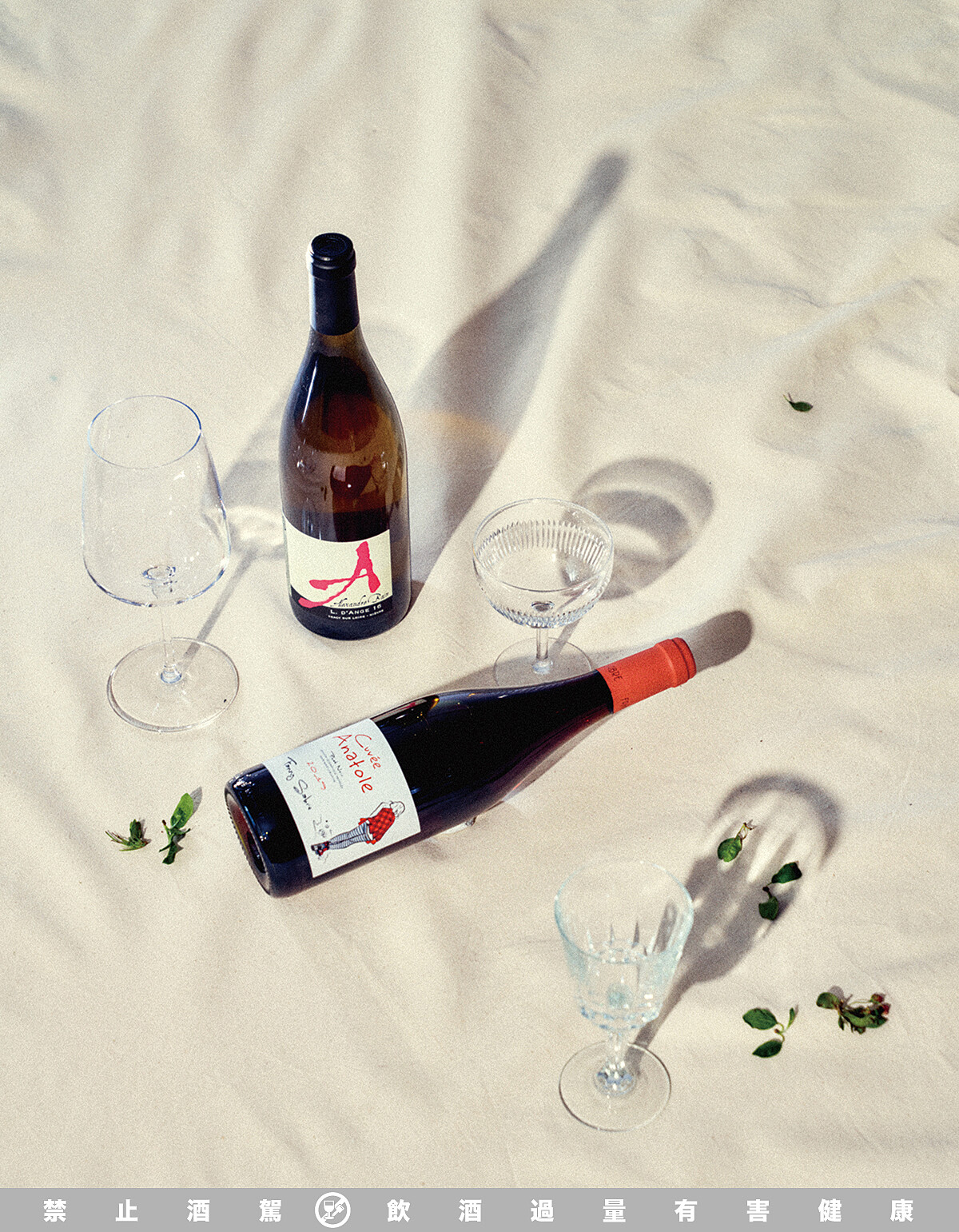 （上）VDF L. d'Ange 2016, Domaine Alexandre Bain 亞歷山大班恩酒莊天使。（下）Anatole Pinot noir IGP 2019, Domaine Fanny Sabre 凡妮酒莊布根地法式滾球女孩。