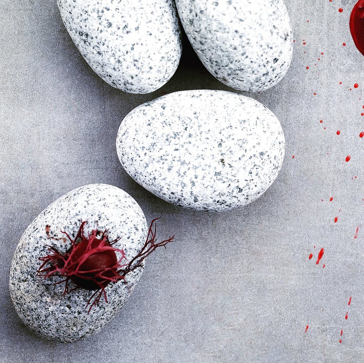 用黑櫻桃、黑橄欖、黑醋栗 和義式黑醋製作的「膠囊」 是 Restaurant ANDRE 的招牌開胃小點。