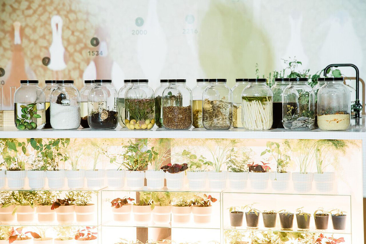 17個地域便有17個故事在產出17漬物的滋味。(照片來源:種籽設計)