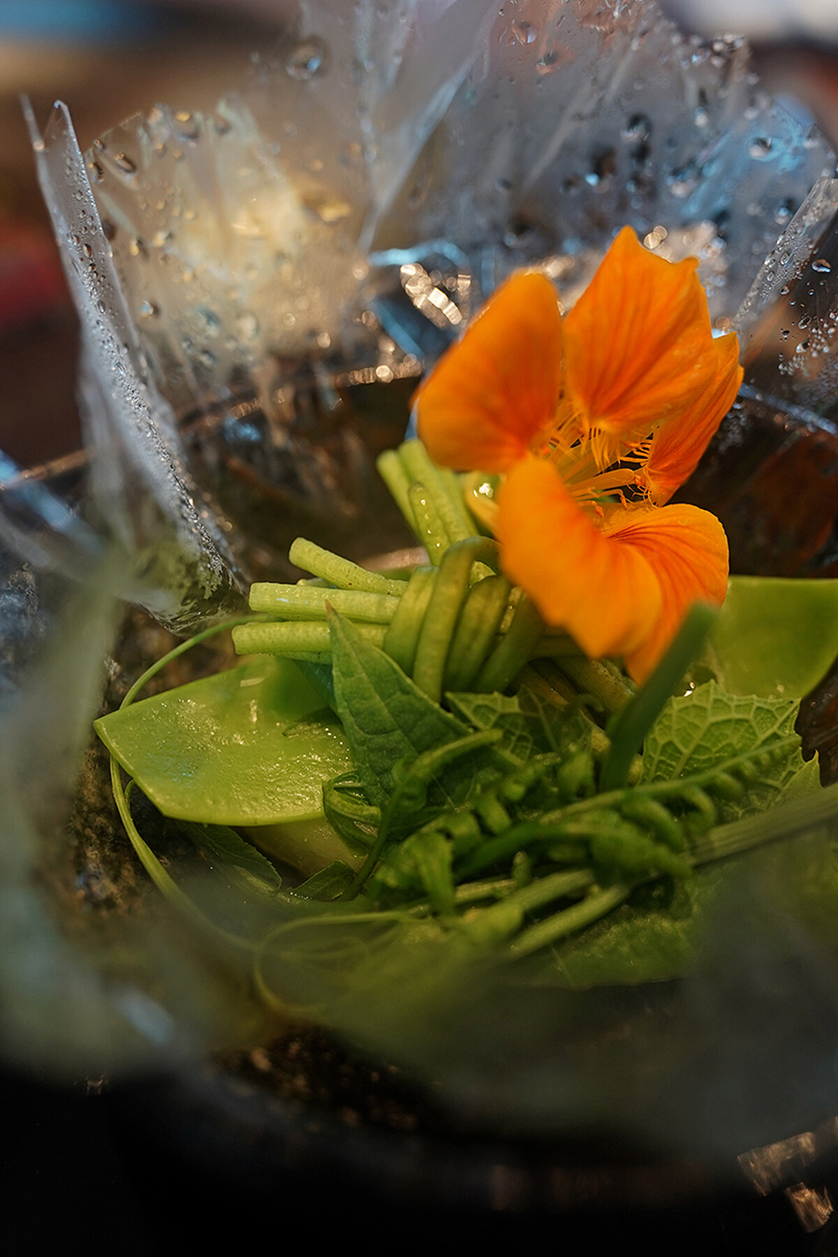 玻璃紙內加入金蓮花、龍鬚菜、山蘇、水蓮跟冬瓜塊。