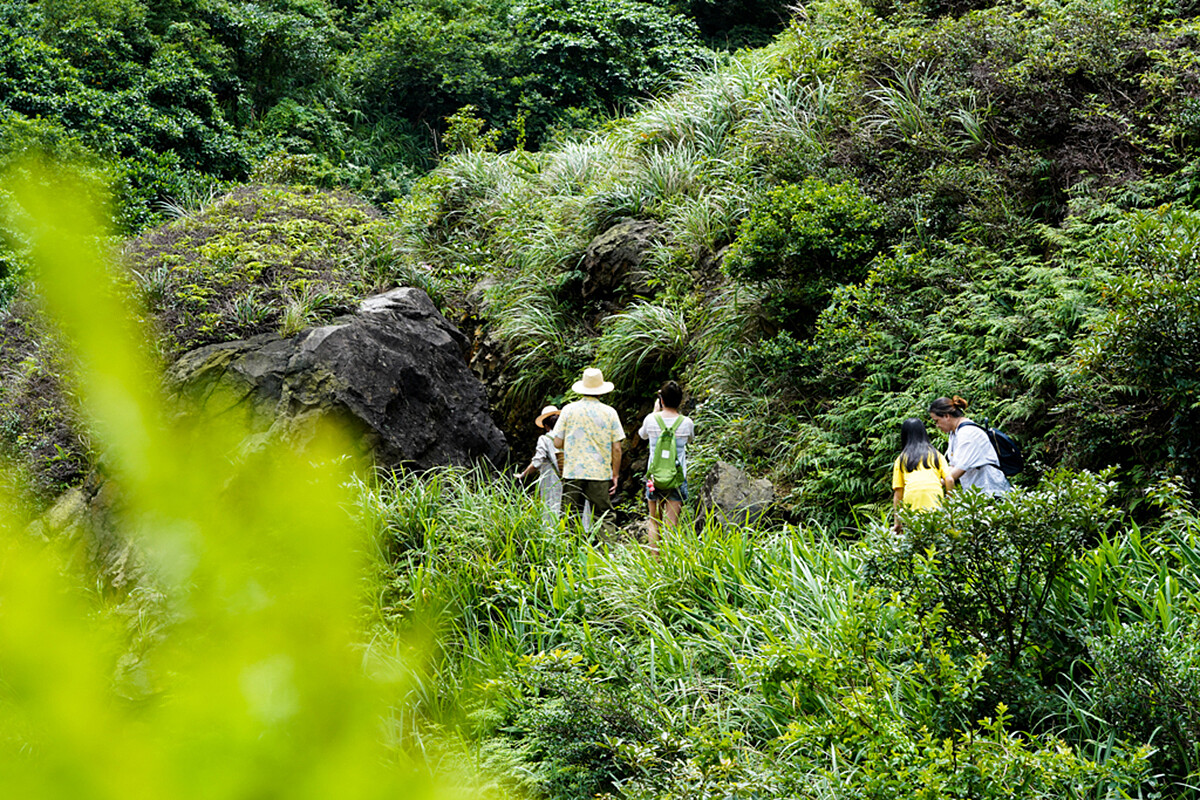 走在山林小徑採集蕨類、搭配鮮嫩花材。