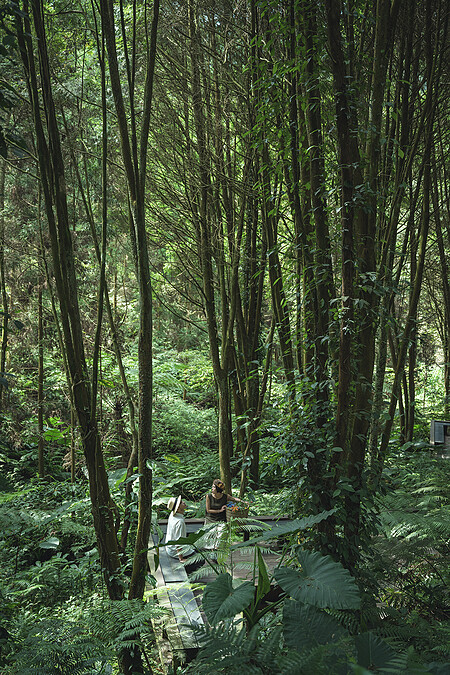 漫步於茂林國家森林園區。
