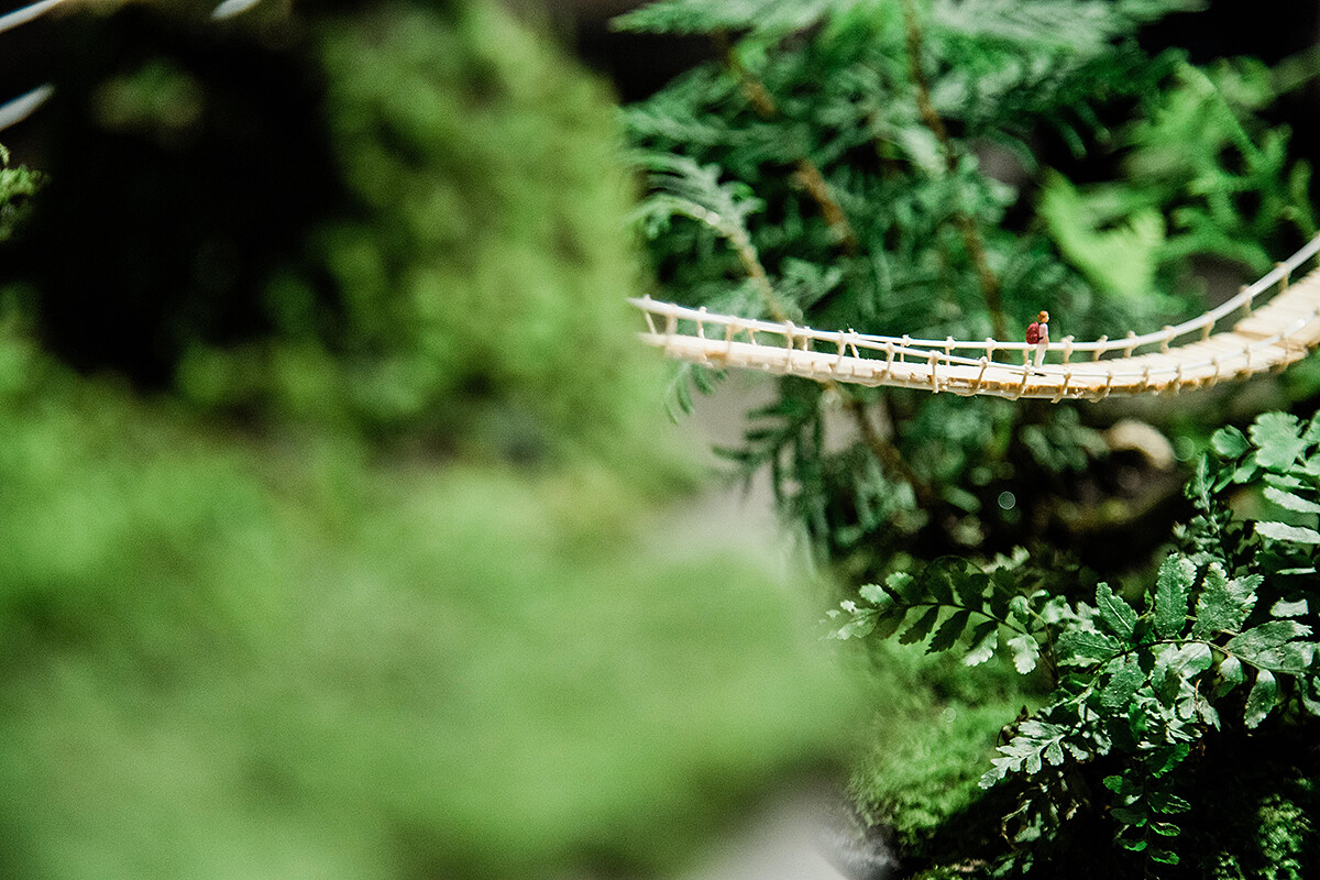 (照片來源:種籽設計)