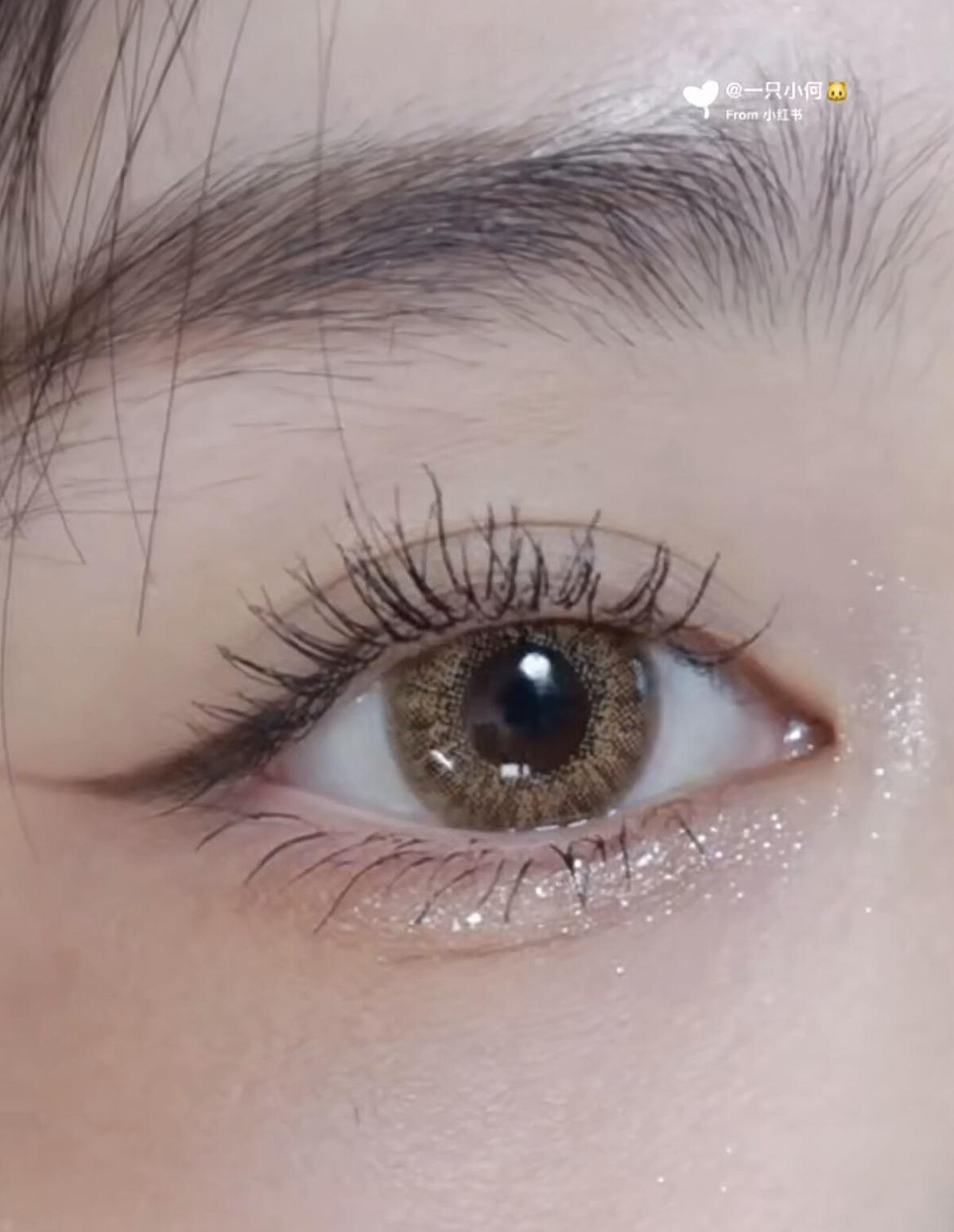 圖片來源：小紅書@一只小何