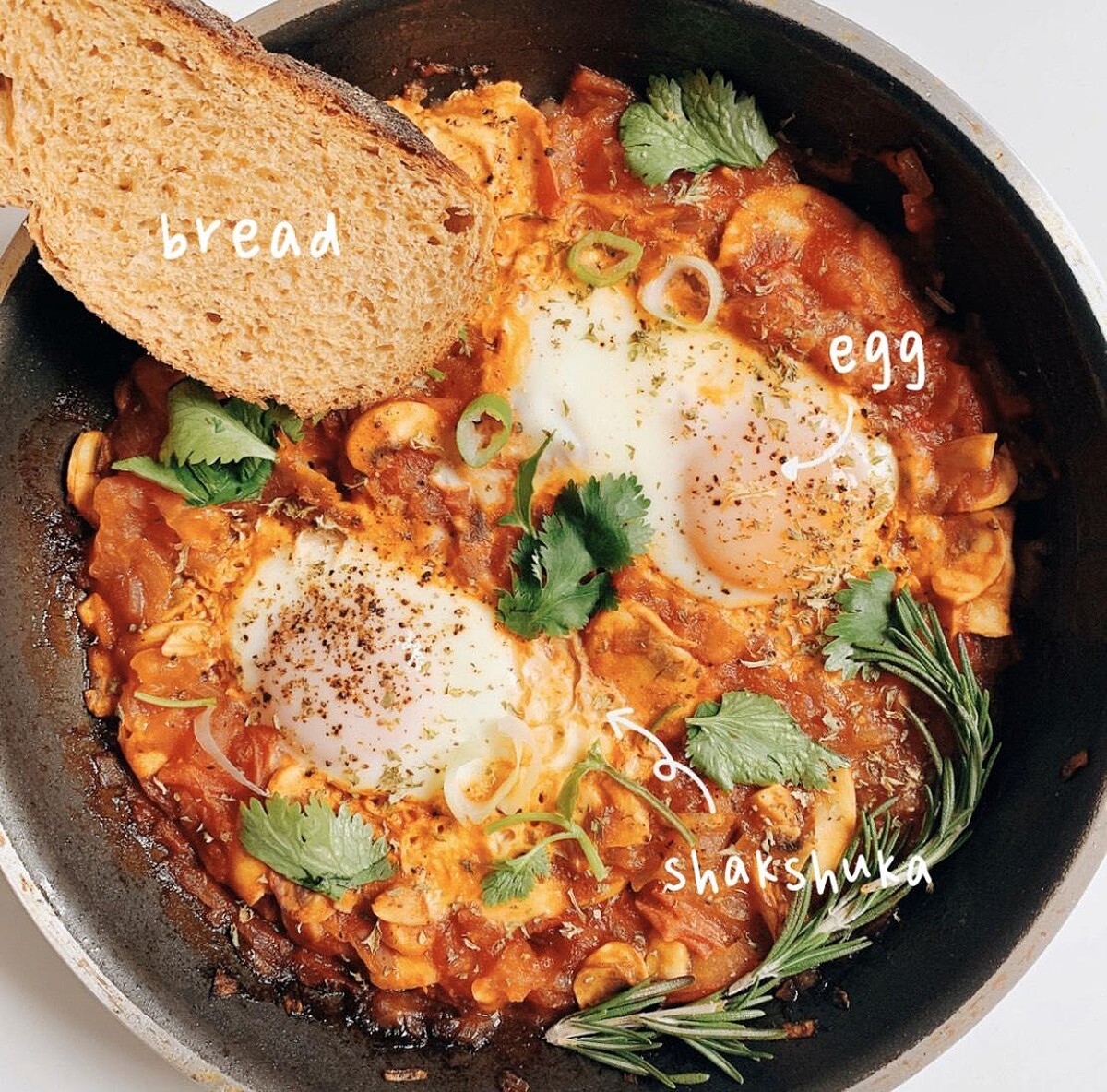 Photo/instagram、小紅書