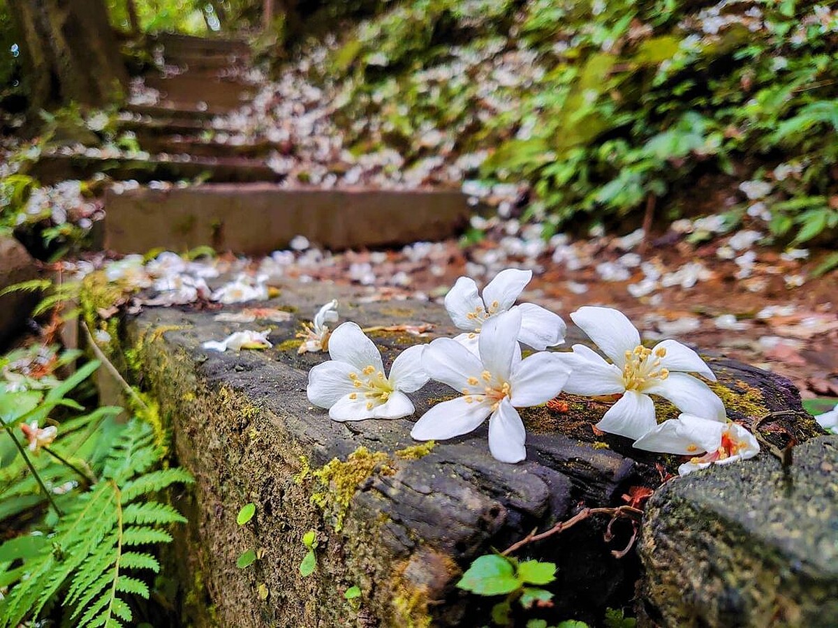 Photo／IG@sensesstir授權提供