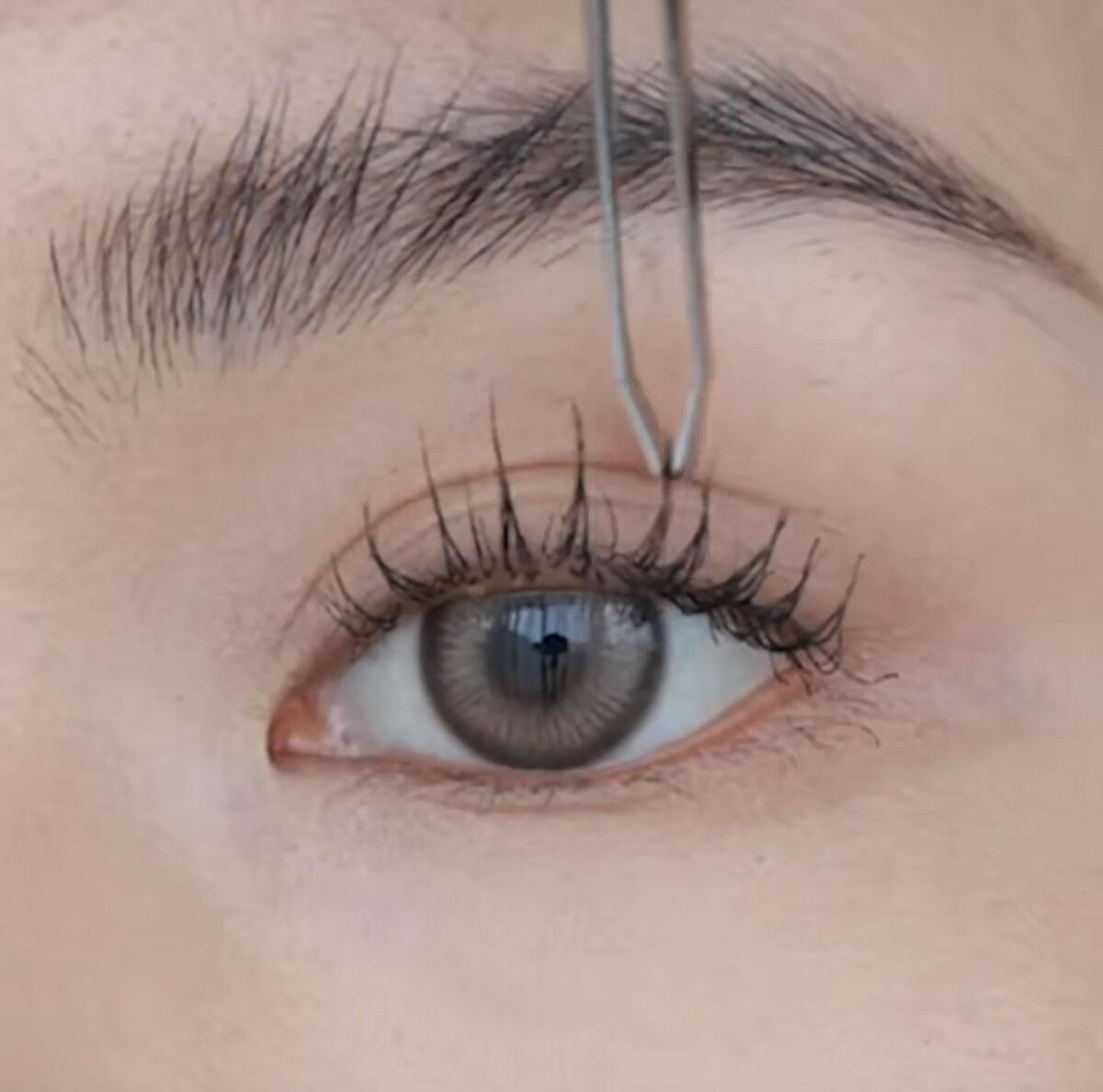 圖片來源：小紅書＠亞妞er