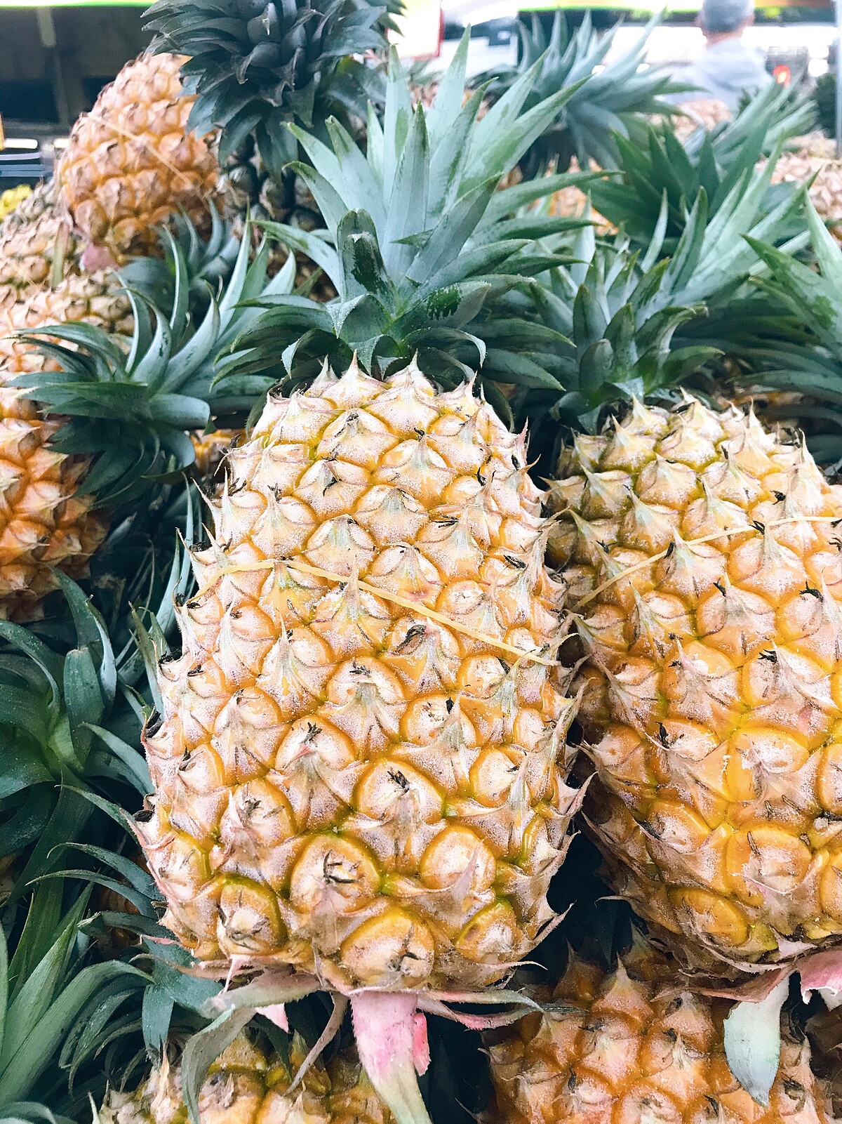 很多人都愛吃鳳梨，又怕吃了嘴破。