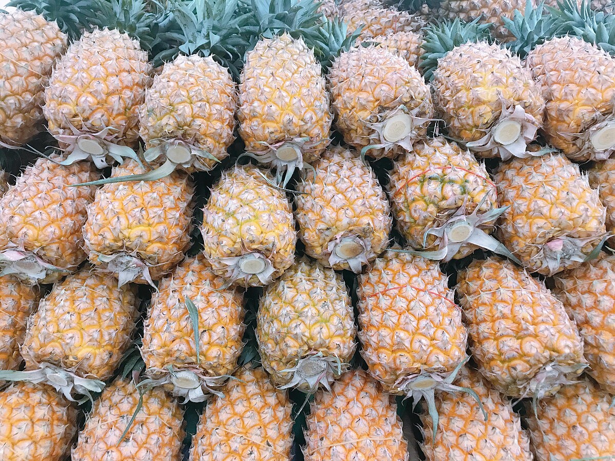 「鳳梨蛋白酶」擁有破壞蛋白質的能力。