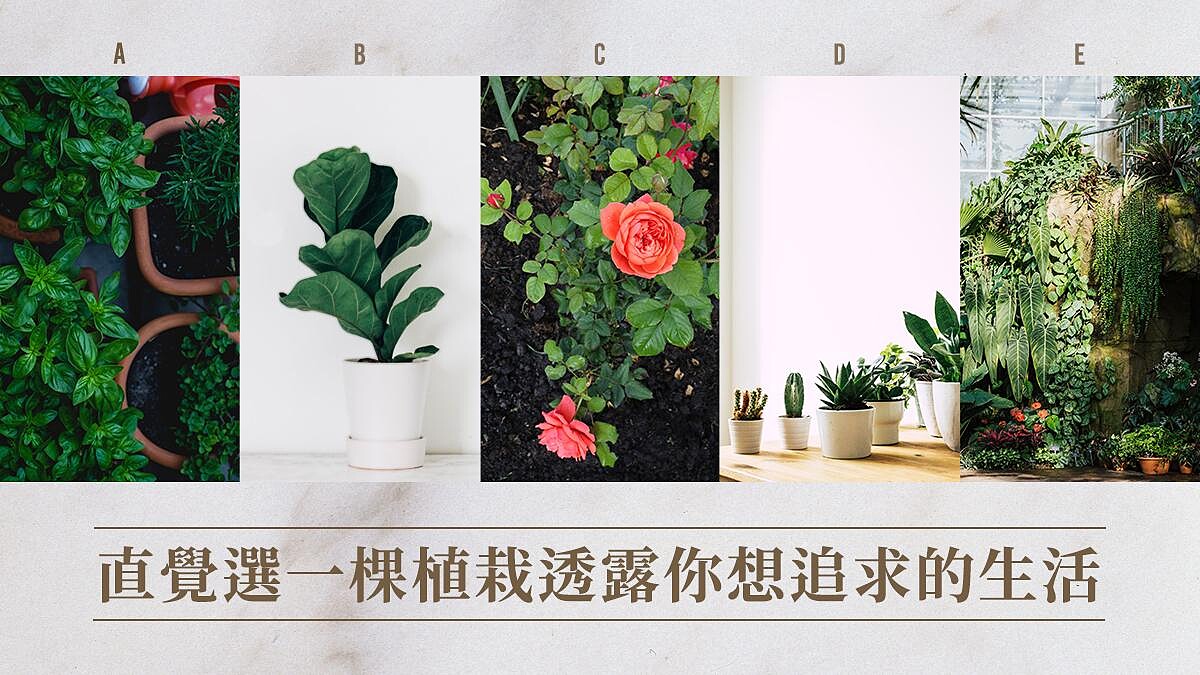 神準心理測驗，直覺選一張圖透露你想追求的生活