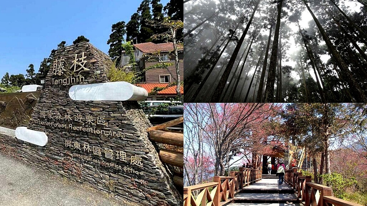 休園12年！「南台灣小溪頭」藤枝國家森林遊樂區重新開放，絕佳避暑勝地每日限額500人，入園可得先預約