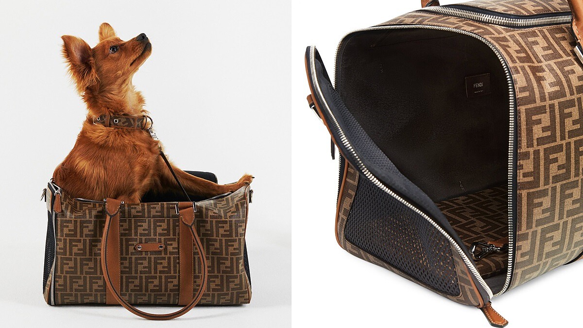 Fendi推出寵物旅行配件系列！把FF Logo變成寵物裝、項圈、牽繩，還有超時髦外出提袋，毛小孩爸媽務必購入(附售價)