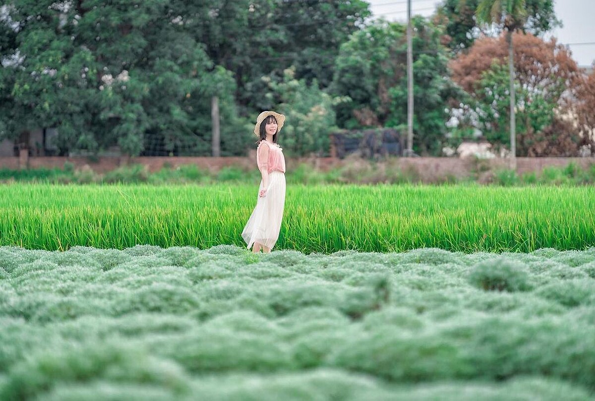 IG@garboodiary 授權提供