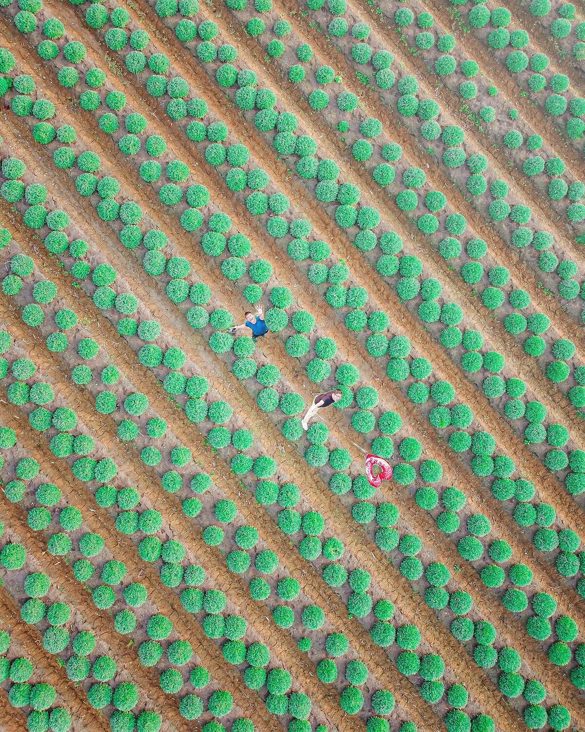 IG@taki788778 授權提供