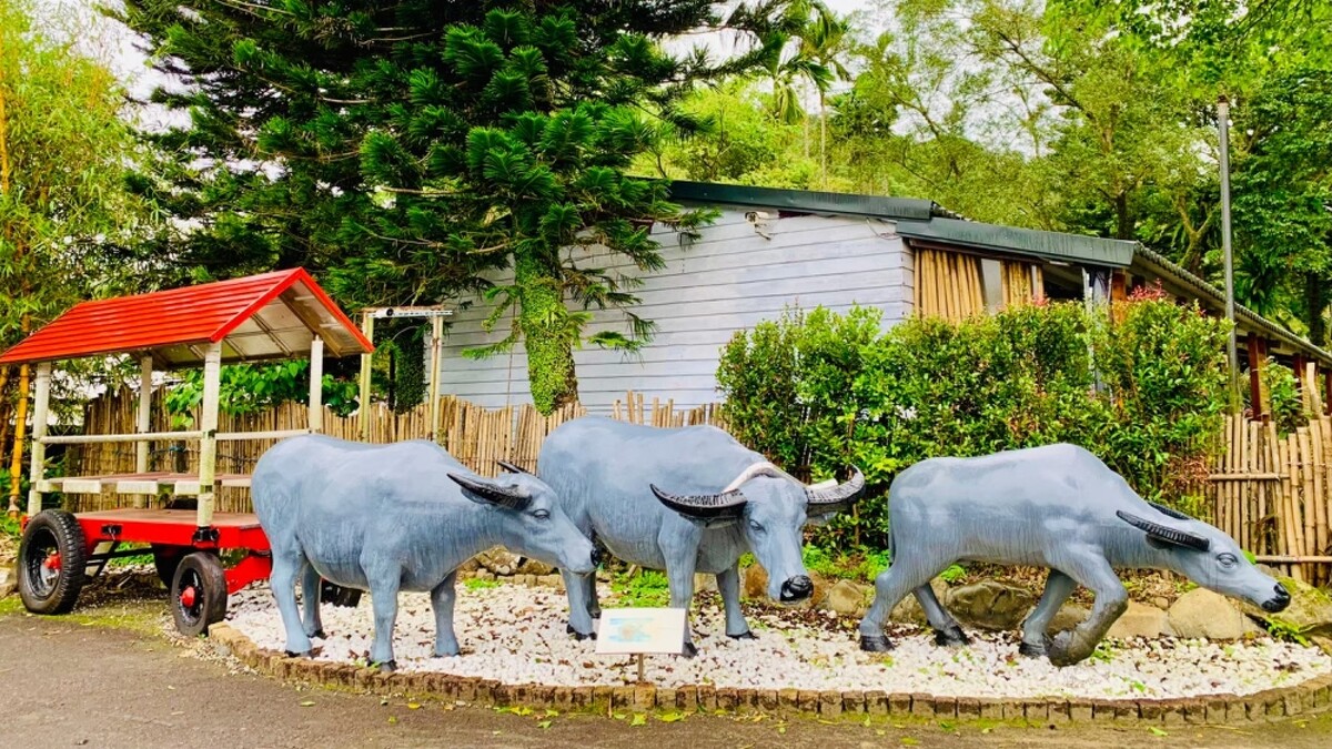 雙溪平林休閒農場