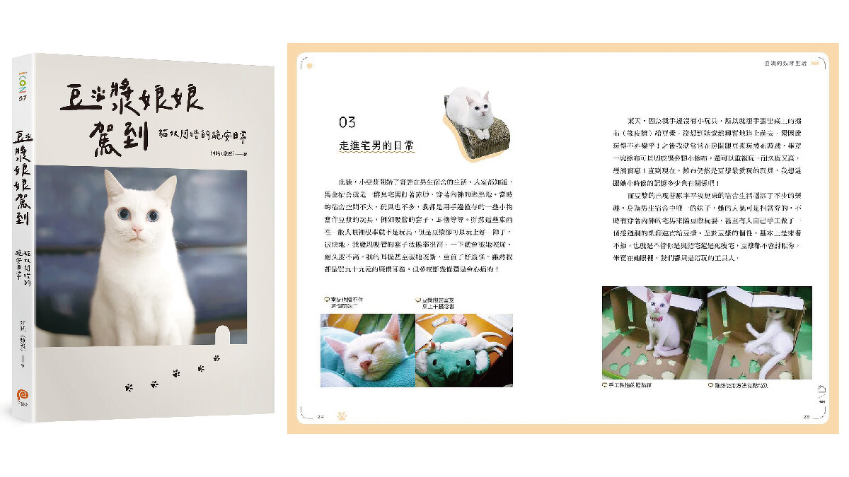 人氣YouTuber貓咪《豆漿娘娘駕到: 貓奴阿晧的跪安日常》連續6週蟬聯誠品書店暢銷榜