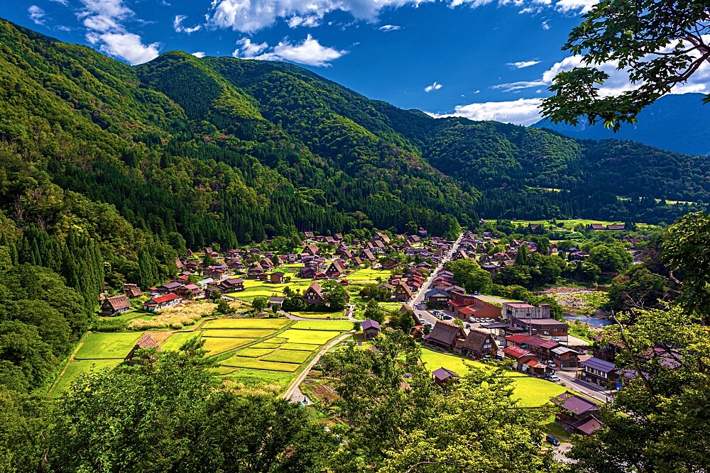 夏日風情合掌村