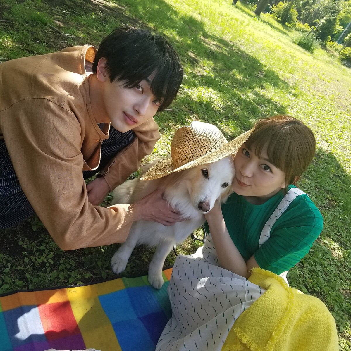 橫濱流星、川口春奈《打扮的戀愛是有理有的》受熱議！