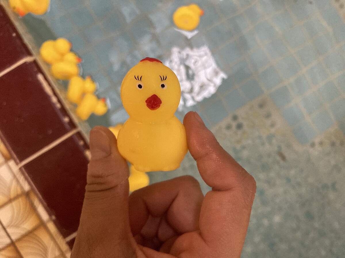 ▲老闆幫女湯的小鴨化妝。（圖／翻攝自にんじん湯@豊橋 Twitter）