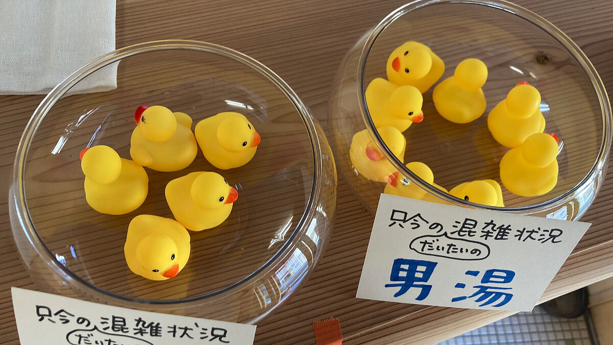 泡湯群聚母湯啦！吉祥物示意泡溫泉「有多擠」 萌翻顧客氣消甘願等