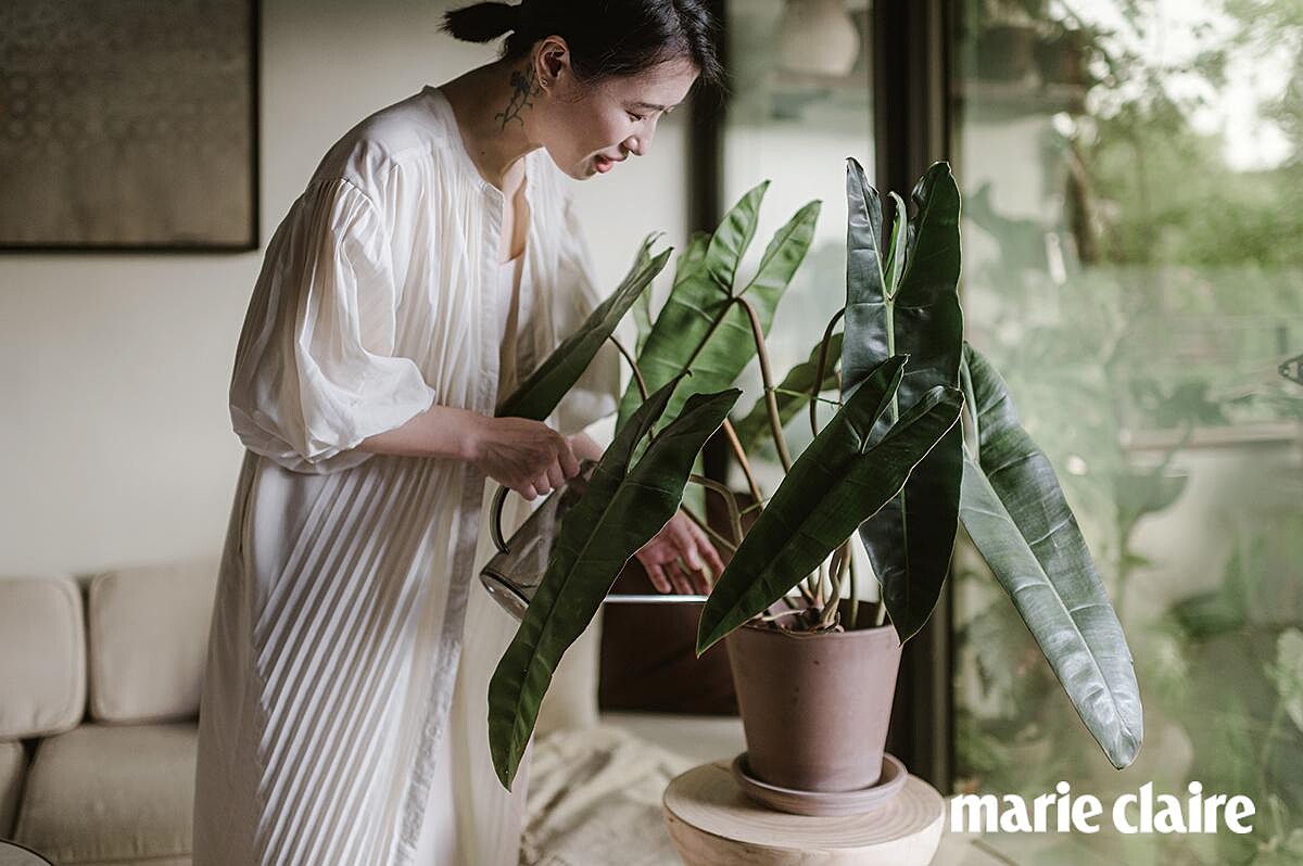 10:00AM 整理植栽：有一套照養整理的順序，會優先處理某幾個特別需要關照的植栽，其餘的會盡量在早上十點半前把水澆完，把所有養護工作完成，過中午後就不再打擾，這是我一天之中最重要的行程。