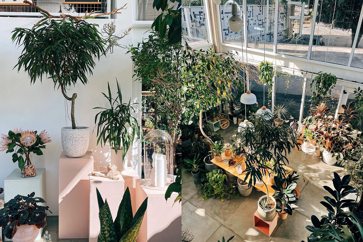 善用挑高的空間將植物高低落差的擺設。