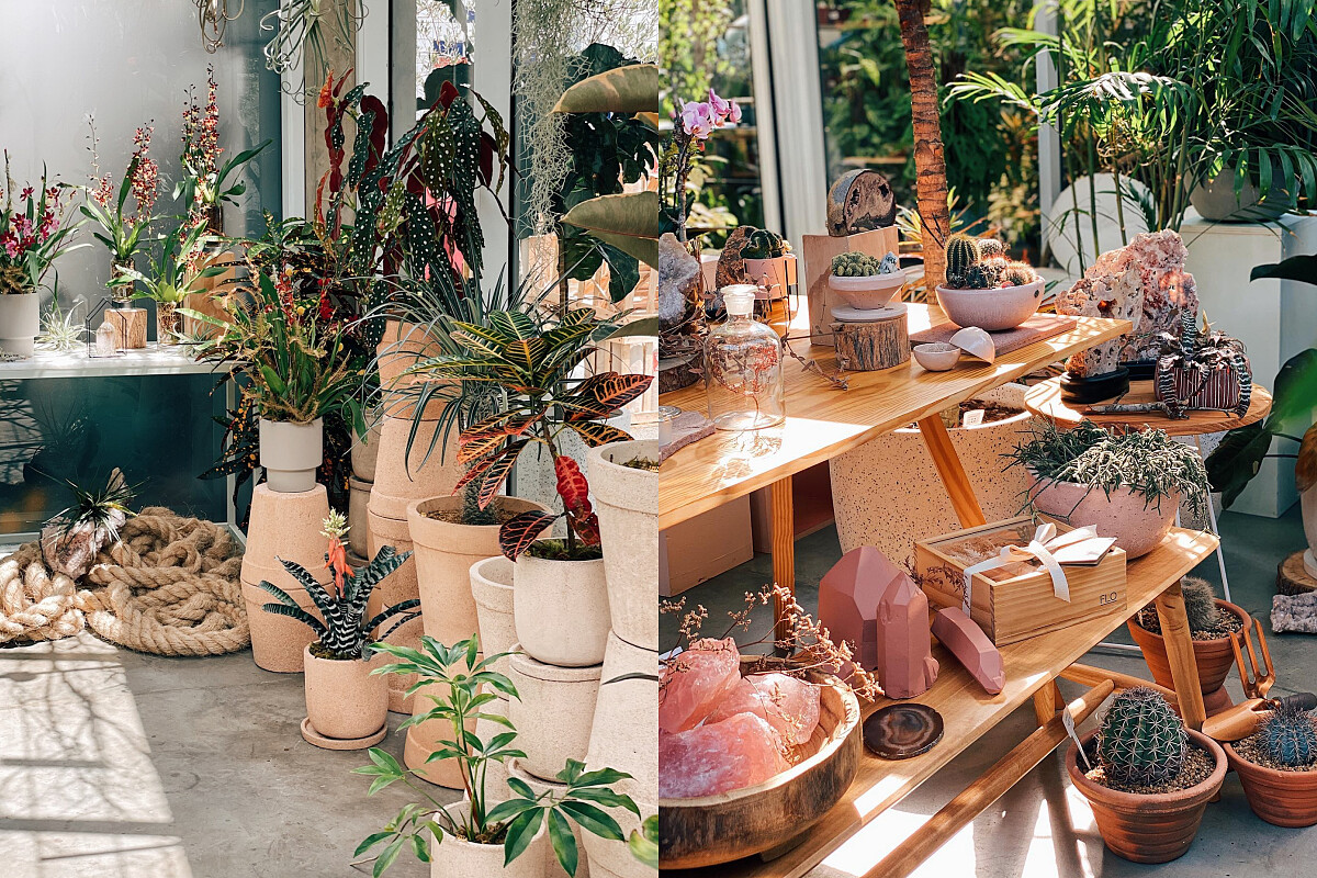 內部空間猶如大型的溫室。